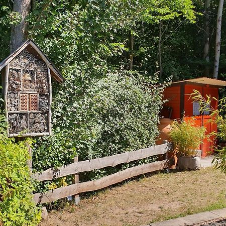 Ronshausen Ferienhaus Am Wald 빌라 외부 사진