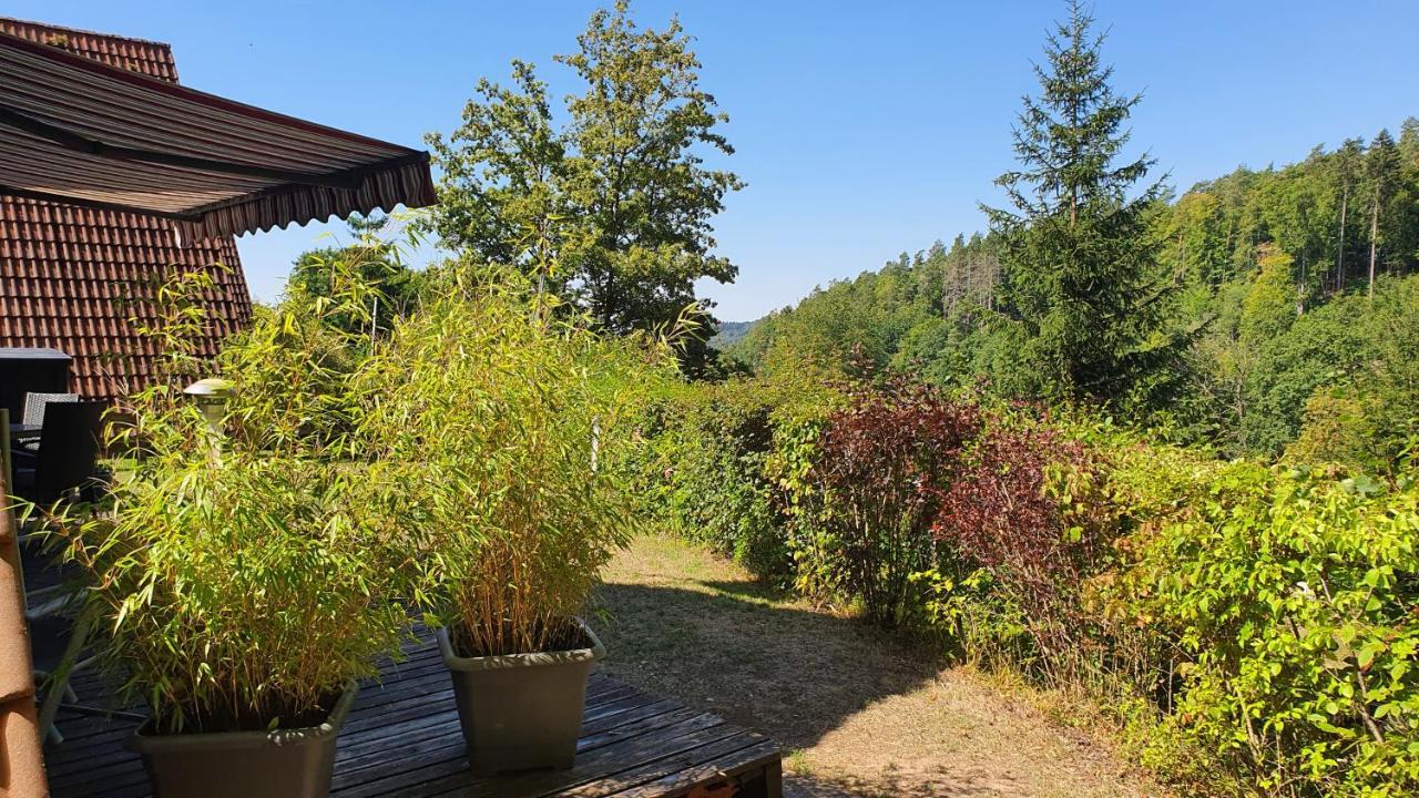 Ronshausen Ferienhaus Am Wald 빌라 외부 사진