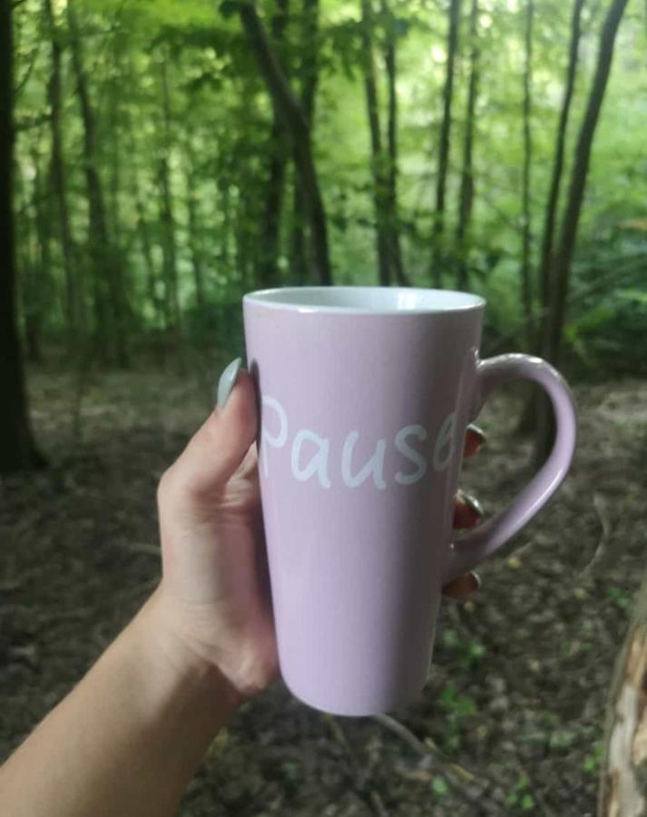 Ronshausen Ferienhaus Am Wald 빌라 외부 사진