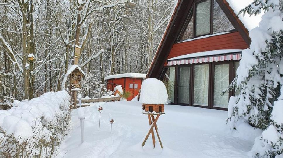 Ronshausen Ferienhaus Am Wald 빌라 외부 사진