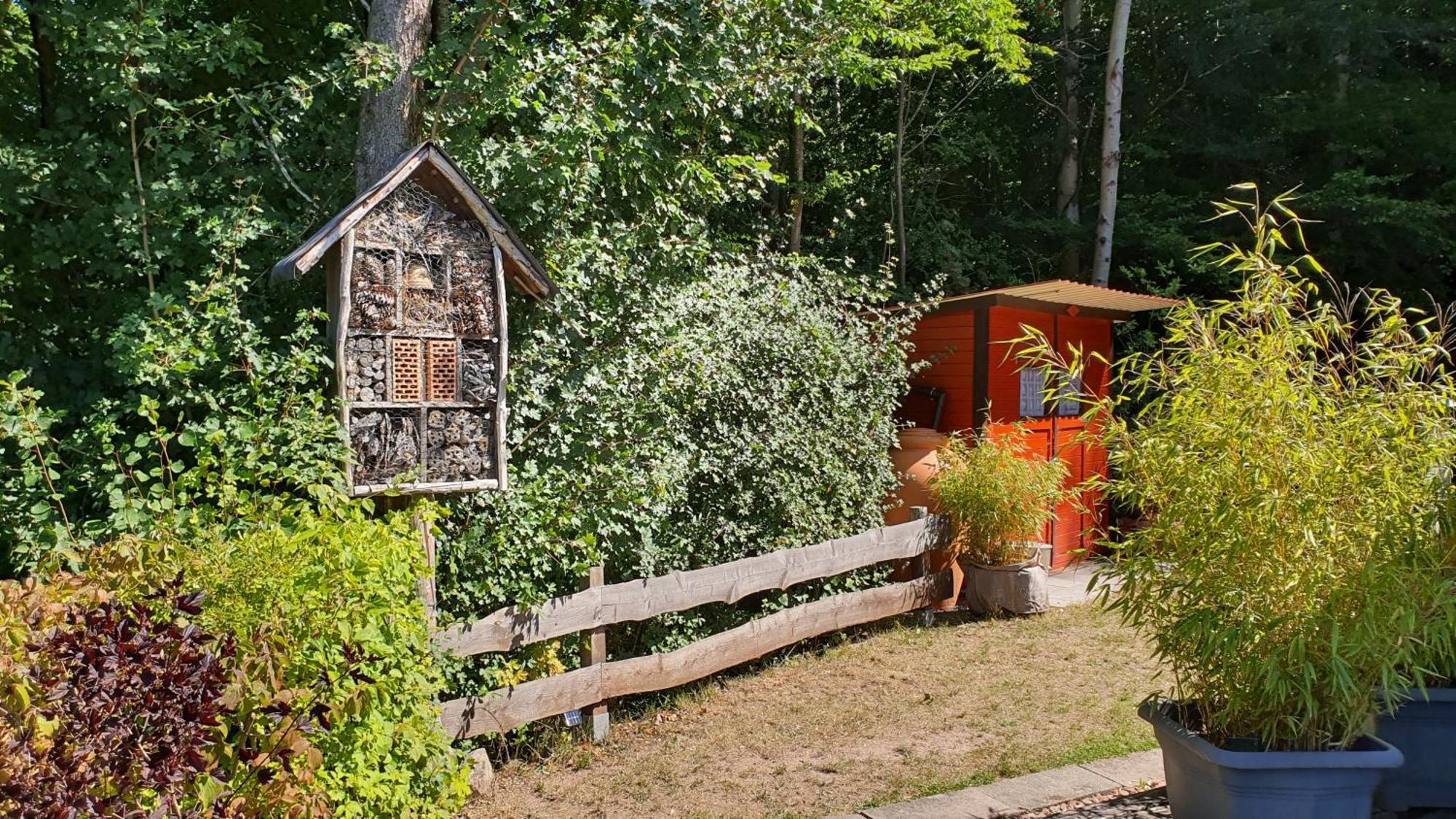 Ronshausen Ferienhaus Am Wald 빌라 외부 사진